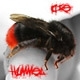 Avatar von DIExHUMMEL